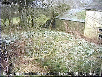 THE TOWNLAND OF BALLYGORMAN