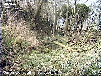 THE TOWNLAND OF BALLYGORMAN