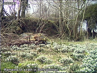 THE TOWNLAND OF BALLYGORMAN