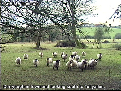 The townland of xxxx.