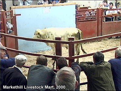 The livestock mart in Markethill.
