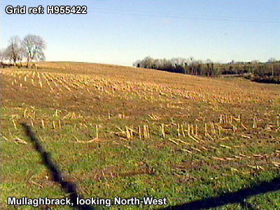 The townland of xxxx.