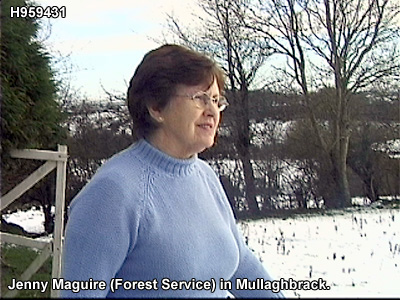 The townland of xxxx.