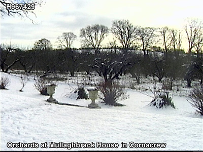 The townland of xxxx.