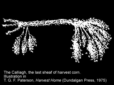 Illustration from Armagh County Museum.